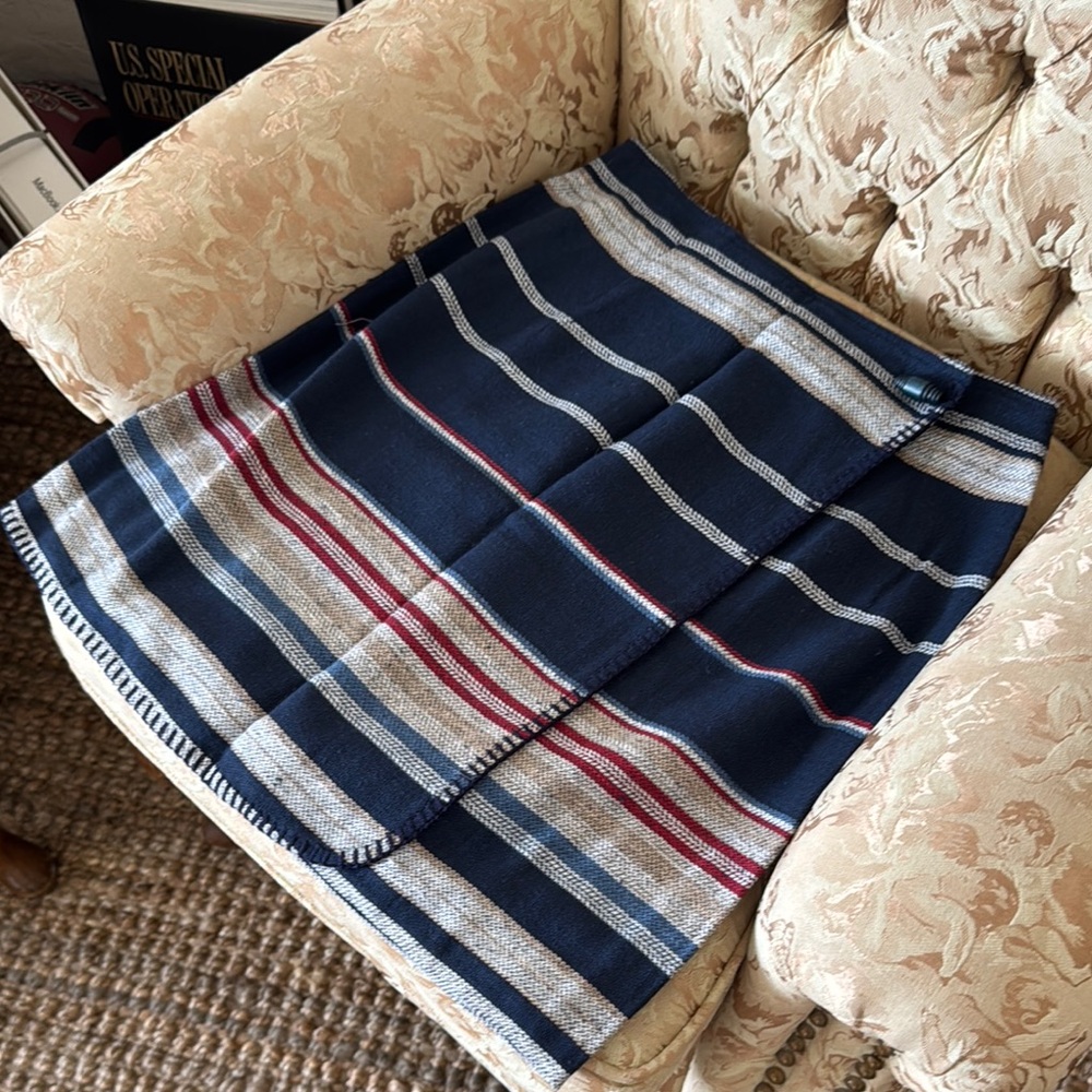 New York & Company Navy and Red Striped Mini Skirt